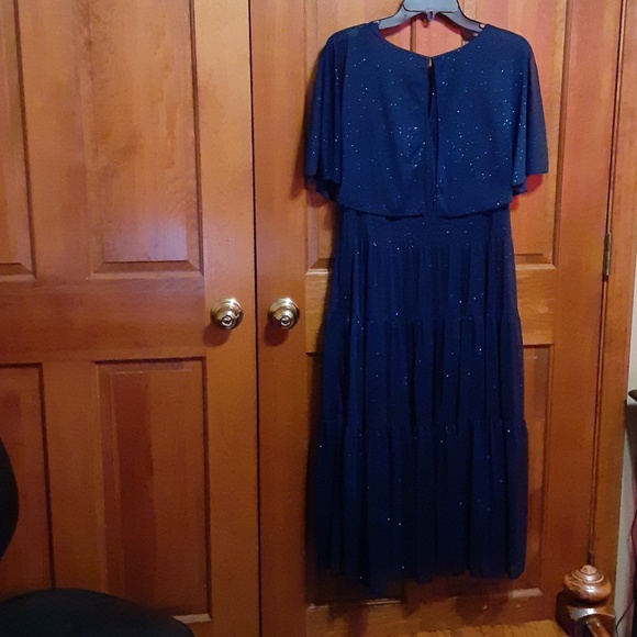 Danny & Nicole Sparkly Navy Lined Dress - Picture 4 of 5